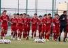 Đội tuyển Việt Nam tại Asian Cup: Đánh bại Iran là quá khó