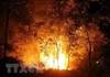 Cháy rừng trong đêm ở Điện Biên, hàng trăm người dập lửa