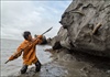 Cơn “sốt” săn ngà voi ma mút ở Nga