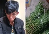 Lâm Đồng:  “Hoa tặc” gây ra hàng loạt vụ trộm ở Đà Lạt bị sa lưới