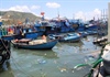 Khánh Hòa: Rác thải tràn lan mặt biển, ảnh hưởng môi trường du lịch