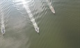 Hấp dẫn giải đua thuyền truyền thống Bình Ðịnh tại hồ sinh thái